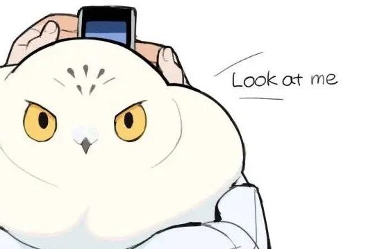 谁看了不想rua呢